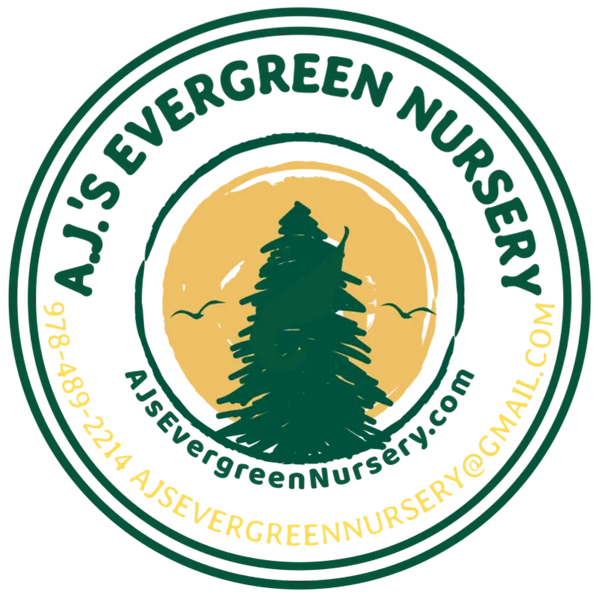 AJ's Evergreen Nursery